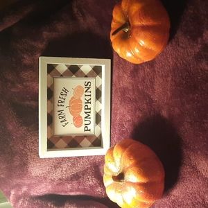3 pc fall decor set